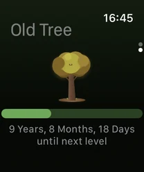 Seedlore on Apple Watch: an old tree with a progress bar and the time remaining until the next stage.